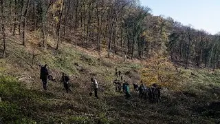 EXIT i Delegacija Evropske unije u Srbiji: Vrati prirodi, pridruži se i posadi drvo!