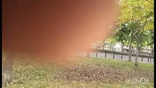 JUST HANGOUT TO THERE PLACE PARK SOMEWHERE CHAIYI