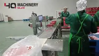 automatic cartoning machine for pickles sachets|YQ corrugated box packaging equipment #packing