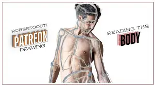 Patreon Webinar #2 - Preview: Pelvis Structure and Axial Skeleton