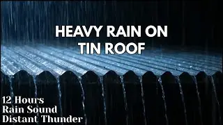 NO ADS LIVE 12 HOURS Heavy Rain on a Tin Roof | Sleep Aid &bull; Study &bull; Relax #SleepAid #Rain #Relax