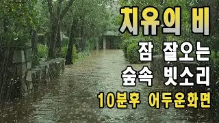 비바람 부는 공원에 폭우와 함께5분이내 수면/ 이명치료효과/ 10분후 화면꺼짐