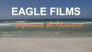 Eagle Films Promo