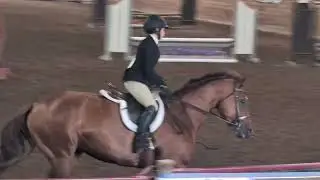 Keystone day 2 winning hunter round #horse #equestrian #hunterjumper