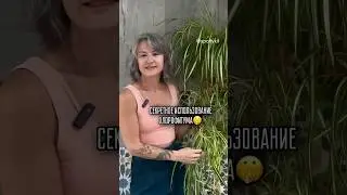 Секретное использование хлорофитума