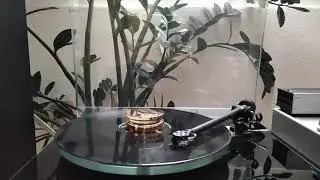 Audio Technica AT33PTG/II, Phil Collins, Find a way to my heart