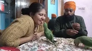 #parrot Ne sari mungfali bekar kar di#