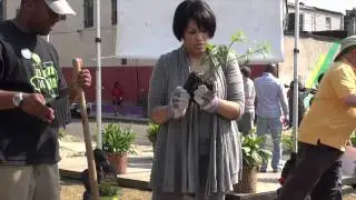 Mayor SRB Plants with OpOliver