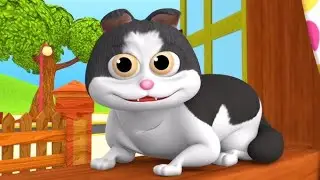 बिल्ली करती म्याऊं म्याऊं, Bill karti meow meow, Cat Cartoon Song, Nursery Rhyme For Kids, baby song