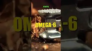 Balancing Omega-6 and Omega-3: The Secret to Living Longer
