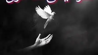 Saraiki Poetry By Saheb Leghari Dubai Mushaira سرائیکی شاعری صاحب لغاری دبئی مشاعرہ