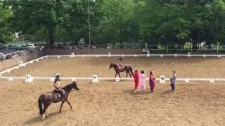 Выездка 10 06 17 Багаутдинова Вероника на Генриетте Розе