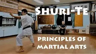 SHURI TE - BEST MARTIAL ARTS BY METIN KAYAR​ [Part 6 of 7]