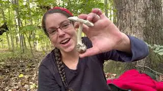 How to take good mushroom pictures + responsible mushroom harvesting tips