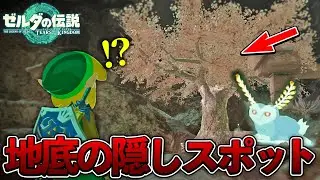 【ティアキン】サトリ山の地底にルミーたちがいる隠れスポットがあるらしいので行ってみたら...【ゼルダの伝説 ティアーズ オブ ザ キングダム】