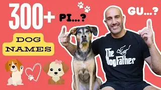 BEST Dog 🐕 Name Ideas|300+ Popular & Trending DOG Names