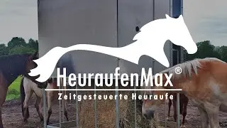Heuraufenmax - Fresszeiten & Fresspausen