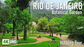 RAIN WALK in Rio de Janeiro 🌧️🇧🇷 | Botanical Garden in 4K | Peaceful Walking Tour