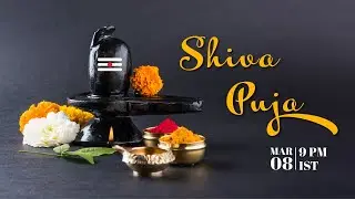 Shiva Puja - Amritapuri Ashram Live - March 8th - 9pm IST