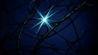 ARTSAVA - IMMORTAL STAR