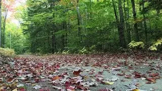 Farewell to Fall 2016 in Maine (Canoeing and Fishing)