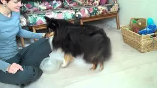 Stacking Bowls