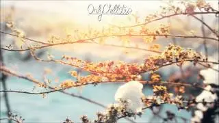 SizzleBird - illuminate 
