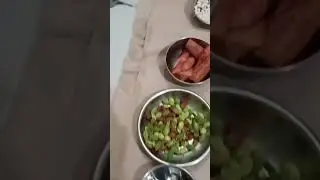 Makar Sankranti Kari dina putt makkalige fala ereyuva dina# kvs n nvs # economics #