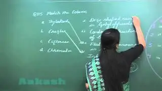 Re-AIPMT 2015 Solution-Biology Video Q. 114-116 Aakash Institute