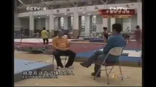 Documentary – Chinese television - Deng Linlin - 2013