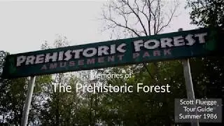 Memories of The Prehistoric Forest