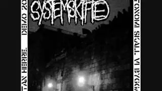 Systemskifte - K&auml;k