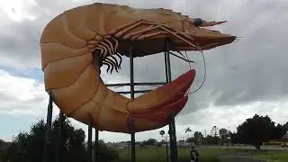 The Big Prawn, Ballina