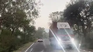 dhimpam..road.. Sathyamangalam..tiger.. reserve..forest..area..🐅🐅🐅🦣🦣🦣