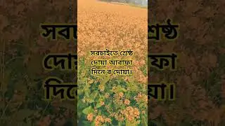 #mizanur_rahman_azhari #waz #ayatulkursi #unfrezzmyaccount #dua #lifeisbutadream