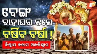 Traditional &ldquo;Frog Marriage&rdquo; frog wedding held across Odisha to appease Indra Dev for rain