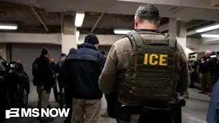 &lsquo;We've lowered our standards&rsquo;: Former ICE Dir. on agents being put in escalating situations