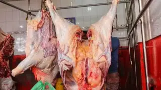 Faster Beef Cutting | Muslim Bazar Cow Meat Processing | Beef Meat Cutting Skills