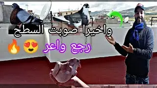 صبغت السطح والسجنة 🔥🤯 واخيرا طلقت الحمام يطيرو 🕊️🔴👀