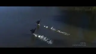Linda Simpson - Panther Valley Drone Montage