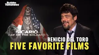 Five Favorite Films: Benicio Del Toro | Rotten Tomatoes