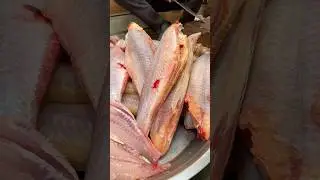 Amazing Super Fast Basa Fish Boneless Cutting Skills #shortvideo #basafish #rrrm