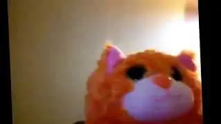 Pop Out Pets!