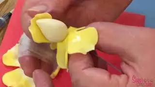 5 Petal Rose Cutter 40mm by Carol Haycox