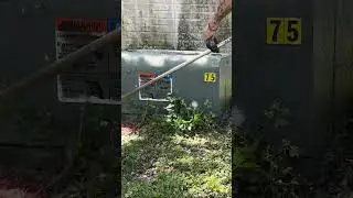 Overgrown Grass gets Cleaned Up with a Weed Wacker #timelapse #lawnmowing #satisfying