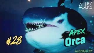 MANEATER - The Apex Orca Showdown 🐋 (Ep 28) SERIAL GAME | Gameplay 4K 60FPS | No Commentary