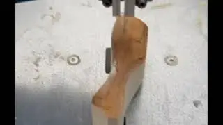 Daughter wants a giraffe