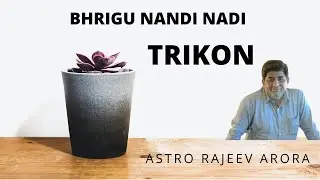 Bhrigu Nandi Nadi - Trine - Trikon explain