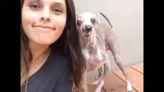 Zayne Matulis and her dog Surfi | Gone Viral