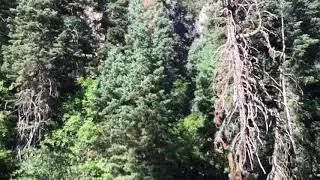 Chalk creek canyon